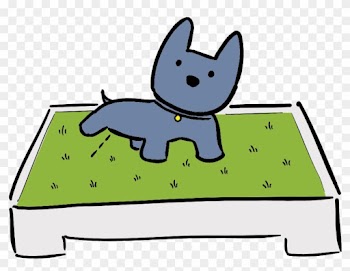 Let Your Dog Naturally Find The Grass - Let Your Dog Naturally Find The Grass