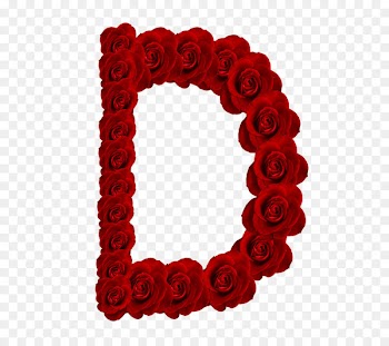 Letter Alphabet Rose K - rose 