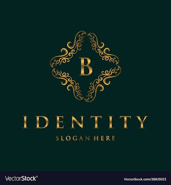 Letter b luxury frame creative business logo vector image