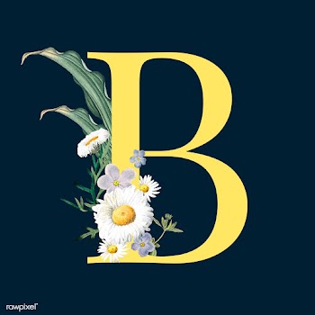 Letter B with blossoms | Free stock vector - 544994