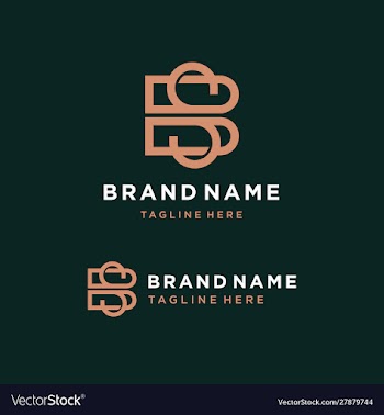 Letter bs logo template vector image
