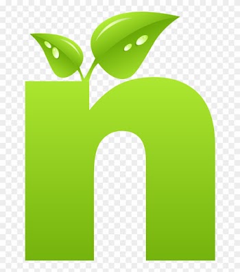 Letter N Font - Vector N