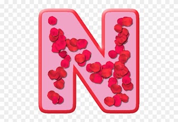 Letter N Rose Petals