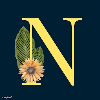 Letter N with blossoms | Free stock vector - 545064