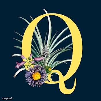 Letter Q with blossoms | Free stock vector - 544966