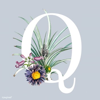 Letter Q with blossoms | Free stock vector - 544986