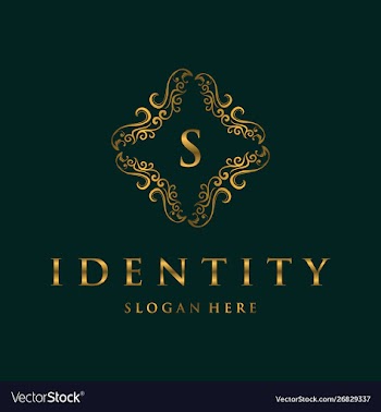 Letter s frame luxury creative business logo vector image