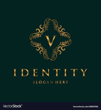 Letter v frame luxury creative business logo vector image