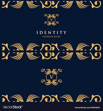Letter v luxury card logo design vector image