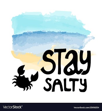 Lettering logo stay salty vector image