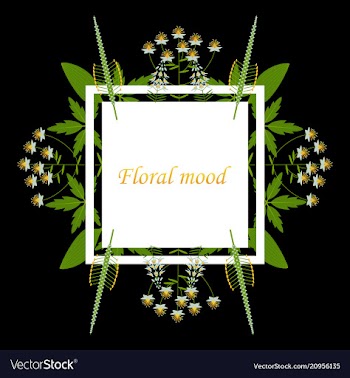 Lettering with leaves floral mood hand sketched vector image