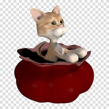 Letting the cat out of the bag Whiskers Kitten Domestic pig, Vivid cat nose transparent background PNG clipart
