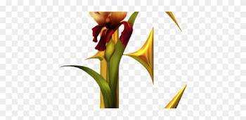 Lettre Alphabet Avec Fleurs - Alfabeto Orquidea P Dourado Jpg