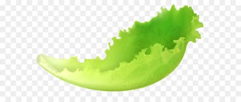 Lettuce Salad Vegetable Clip art - Leaf Lettuce PNG Clipart 