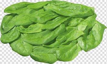 Lettuce sandwich Salad Nicoise Vegetable, Green Salad transparent background PNG clipart