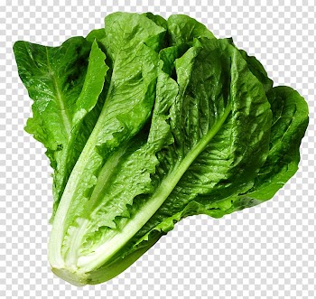 Lettuce sandwich Wrap Iceberg lettuce , Lettuce , bok choy transparent background PNG clipart