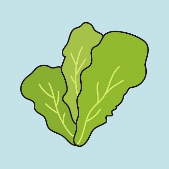 Lettuce sticker, vegetable creative doodle | Free PSD Illustration - rawpixel