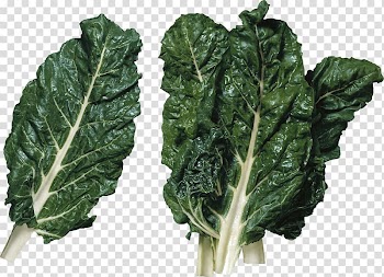 Lettuce Vegetarian cuisine Salad Vegetable Produce, Salad transparent background PNG clipart