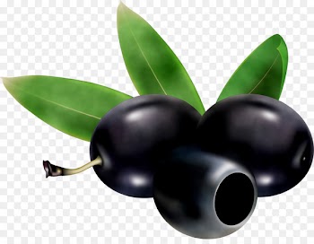 Li hing mui Black Candied fruit Adobe Photoshop RGB color model -  