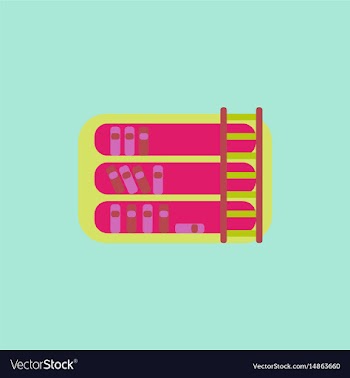 Library and ladder vector image