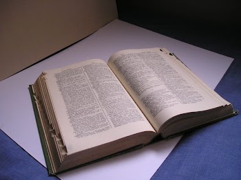 libro_abierto__3_.JPG