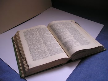 libro_abierto__4_.JPG