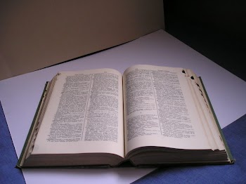 libro_abierto.JPG