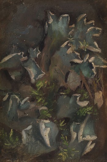 Lichen, sketch for the painting | Free Photo - rawpixel