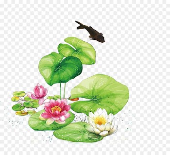 Lichun Yushui Chunfen Jingzhe Daxue - Lotus lotus leaf fish 