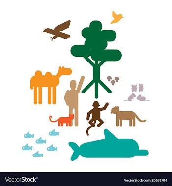 Life on earth vector image