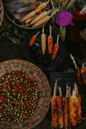 Lifetime of corn.