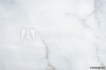 Light and textured concrete backdrop