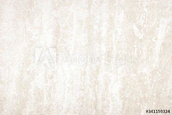 Light and textured concrete backdrop