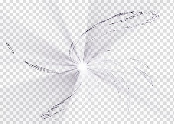 Light Black and white, Black and white rotating light effect transparent background PNG clipart