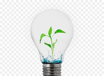 Light bulb