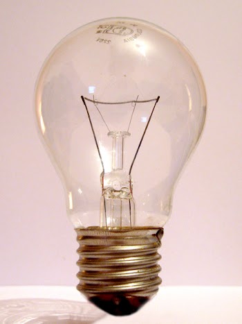 Light_Bulb_9073.JPG