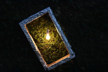 Light Bulb on Plant Box