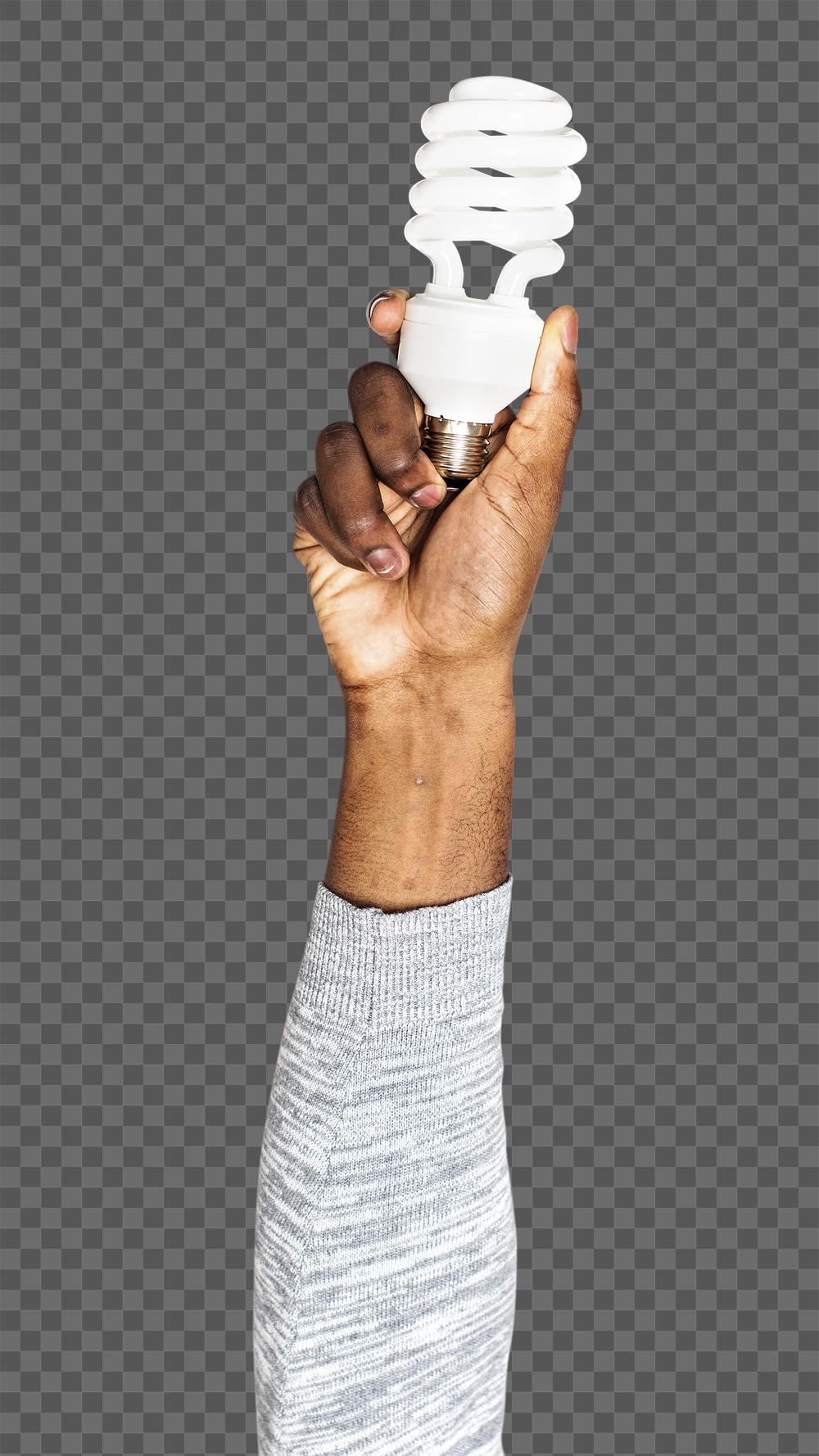 Light bulb png in hand | Free PNG - rawpixel