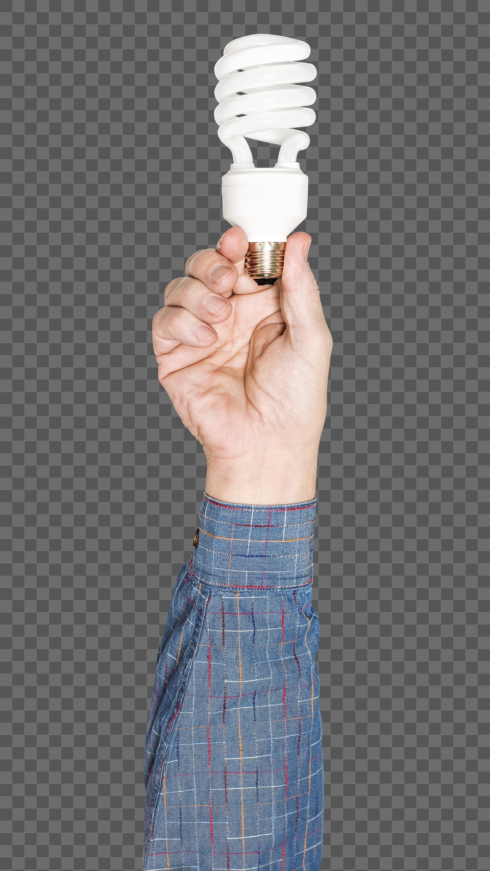 Light bulb png in hand | Free PNG - rawpixel