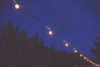 Light bulbs 3