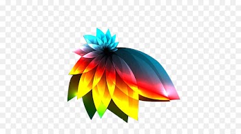 Light Color Darkness Euclidean vector - Colorful peacock tail 
