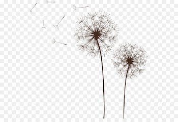 Light Dandelion Euclidean vector Royalty-free - Dandelion Vector 