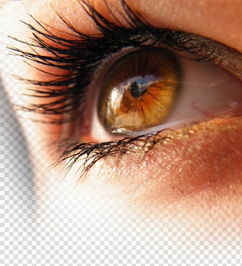 Light Eye color Amber, Eyelashes transparent background PNG clipart