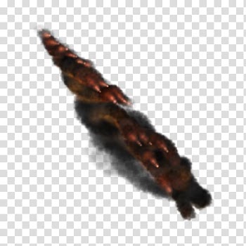 Light Fire , light transparent background PNG clipart