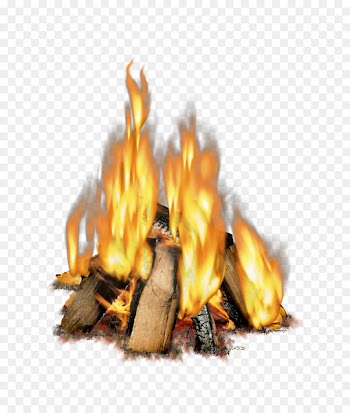 Light Fireplace Wood Combustion - fire 