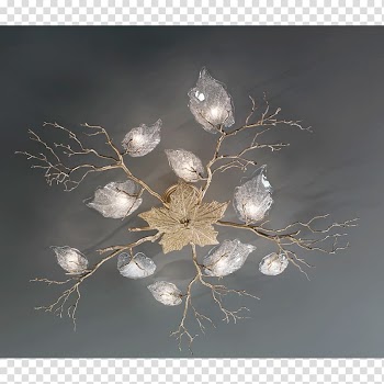 Light fixture Light-emitting diode Lamp Lighting, color collection coral transparent background PNG clipart