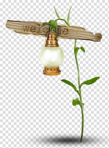 Light fixture Oil lamp Street light, light transparent background PNG clipart