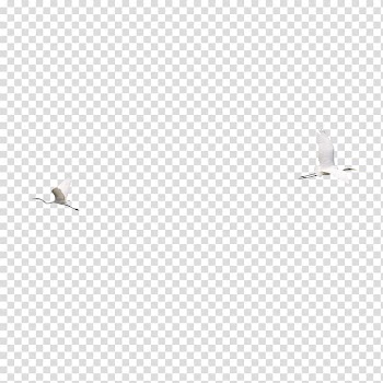 Light , Flying swan transparent background PNG clipart