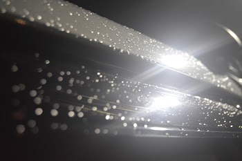 Light Glare Reflecting from a Wet Surface