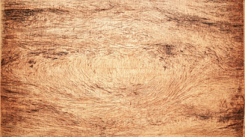 Light Golden Oak Wood Texture